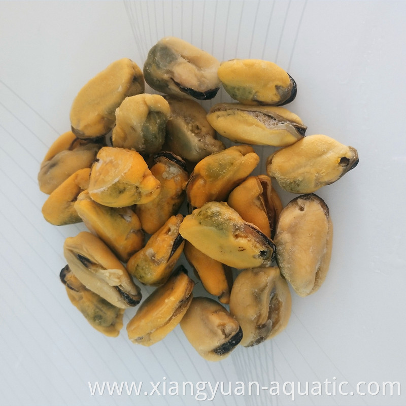 new offer frozen boiled mussel meat with factory price